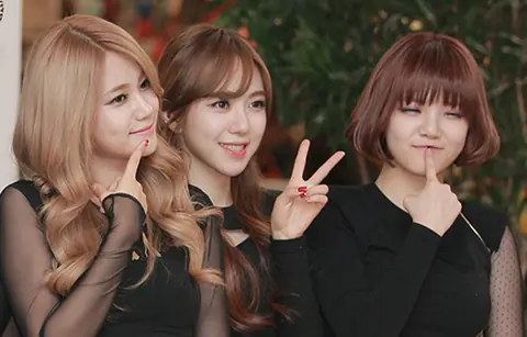 AOA 사진