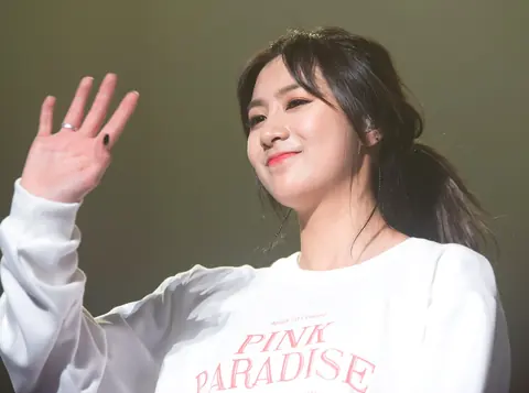 에이핑크 사진
