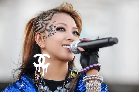 보아 사진