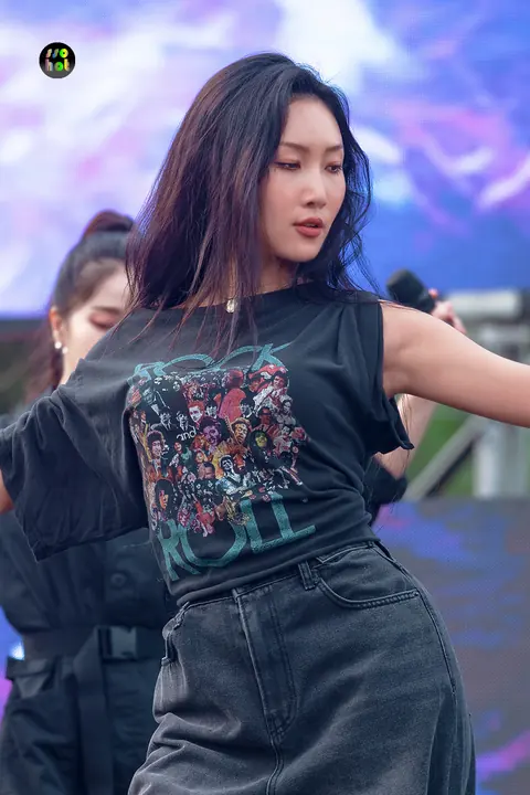 화사 사진
