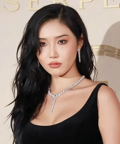 화사 사진