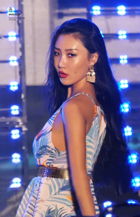 화사 사진