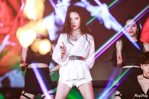 선미 사진