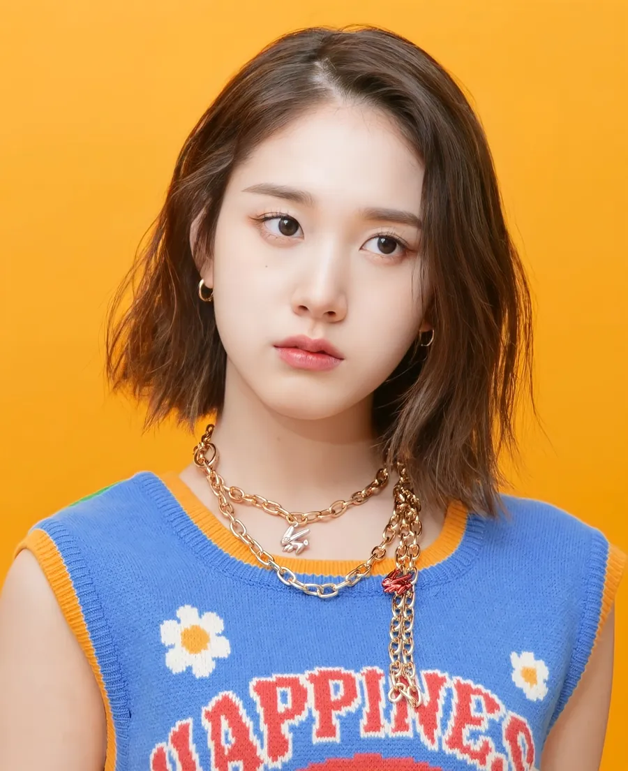 재이 사진