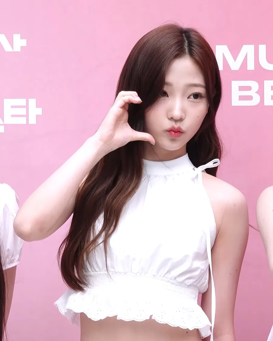 스텔라 사진