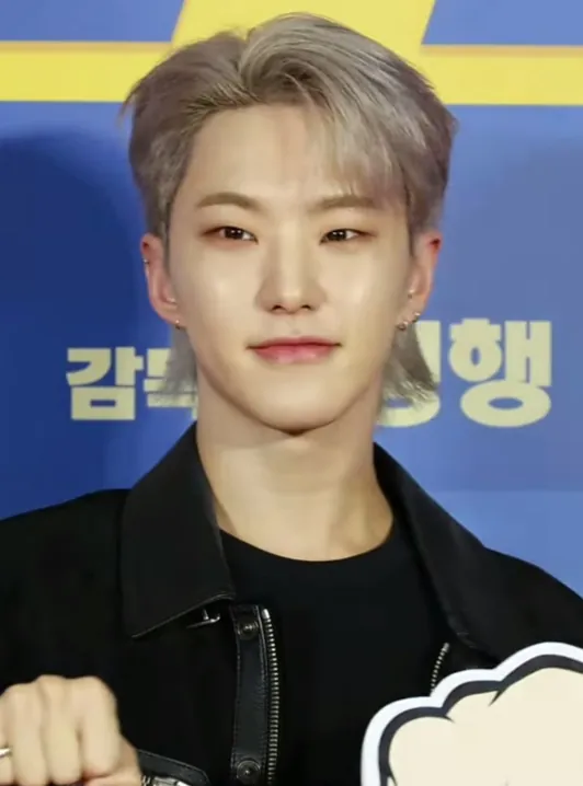 호시 사진