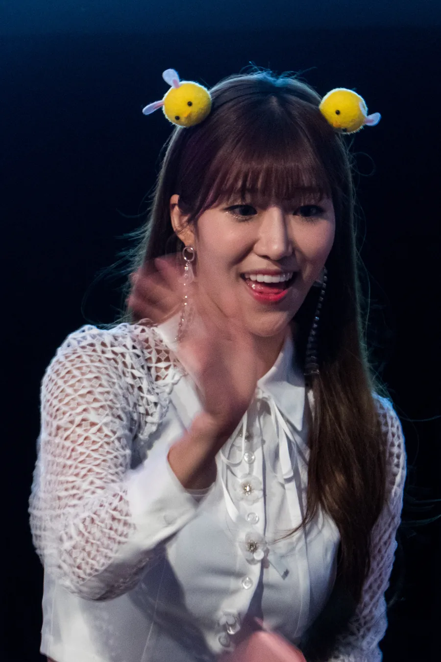 다원 사진