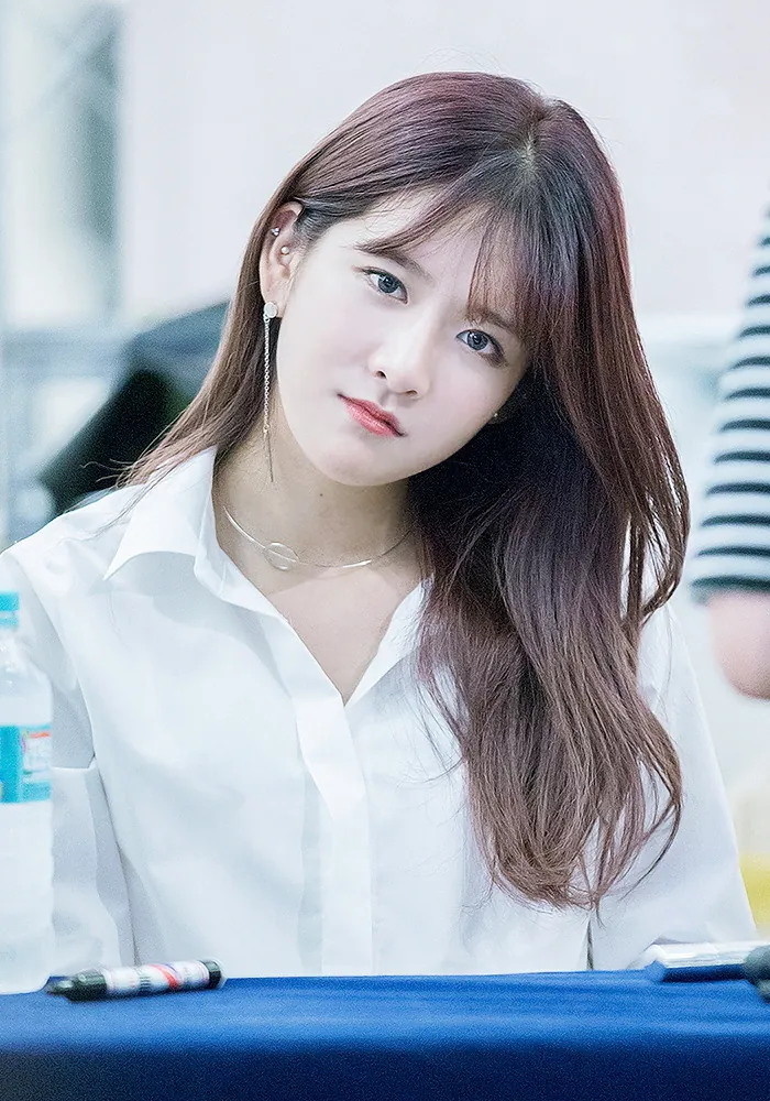 엑시 사진