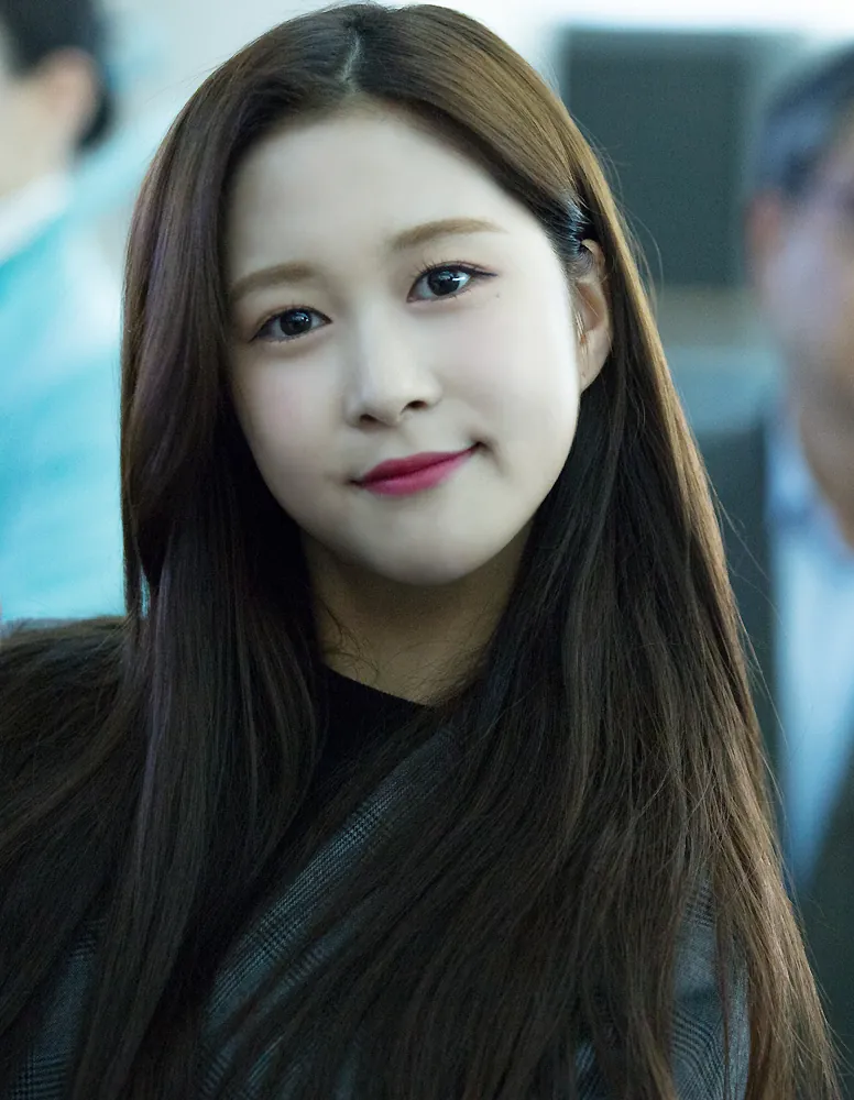 다영 사진