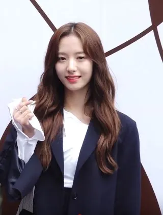 보나 사진