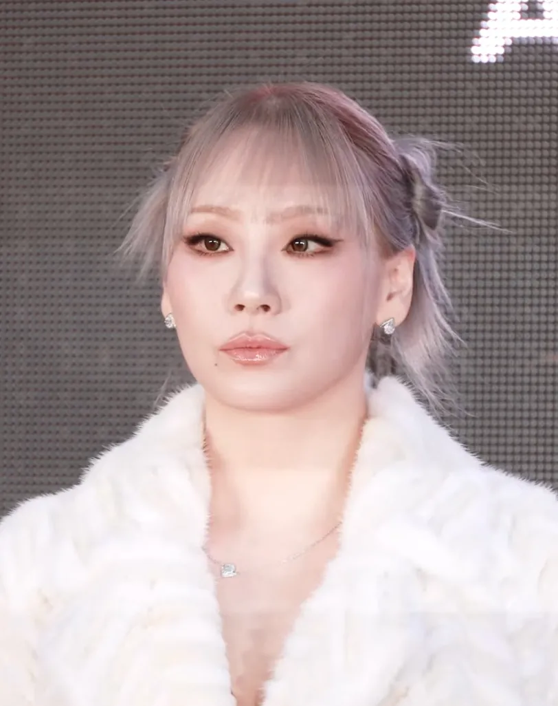 CL 사진