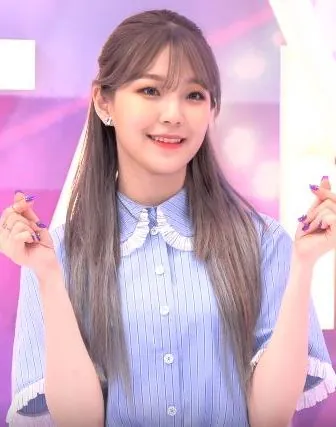백지헌 사진