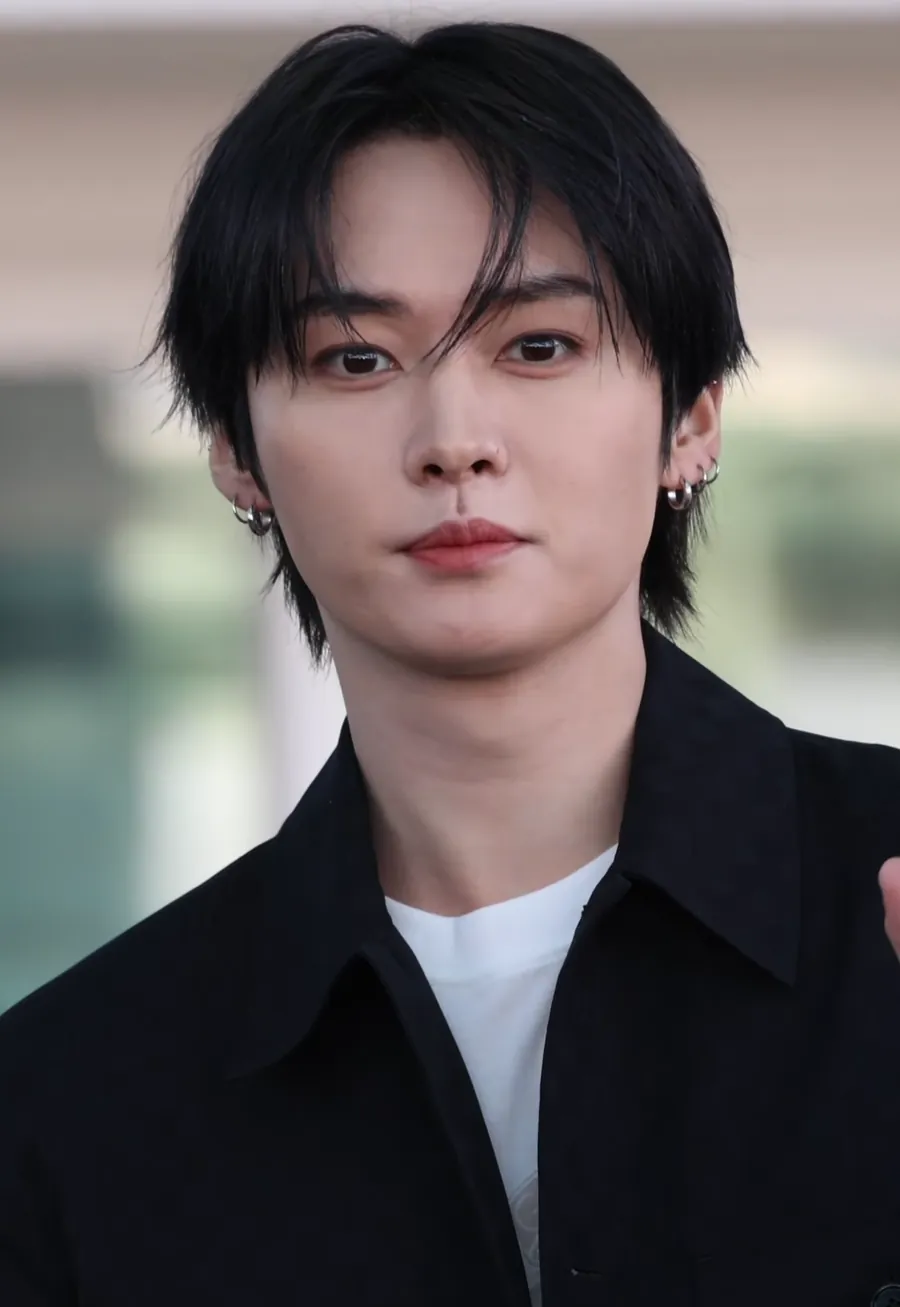 리노 사진