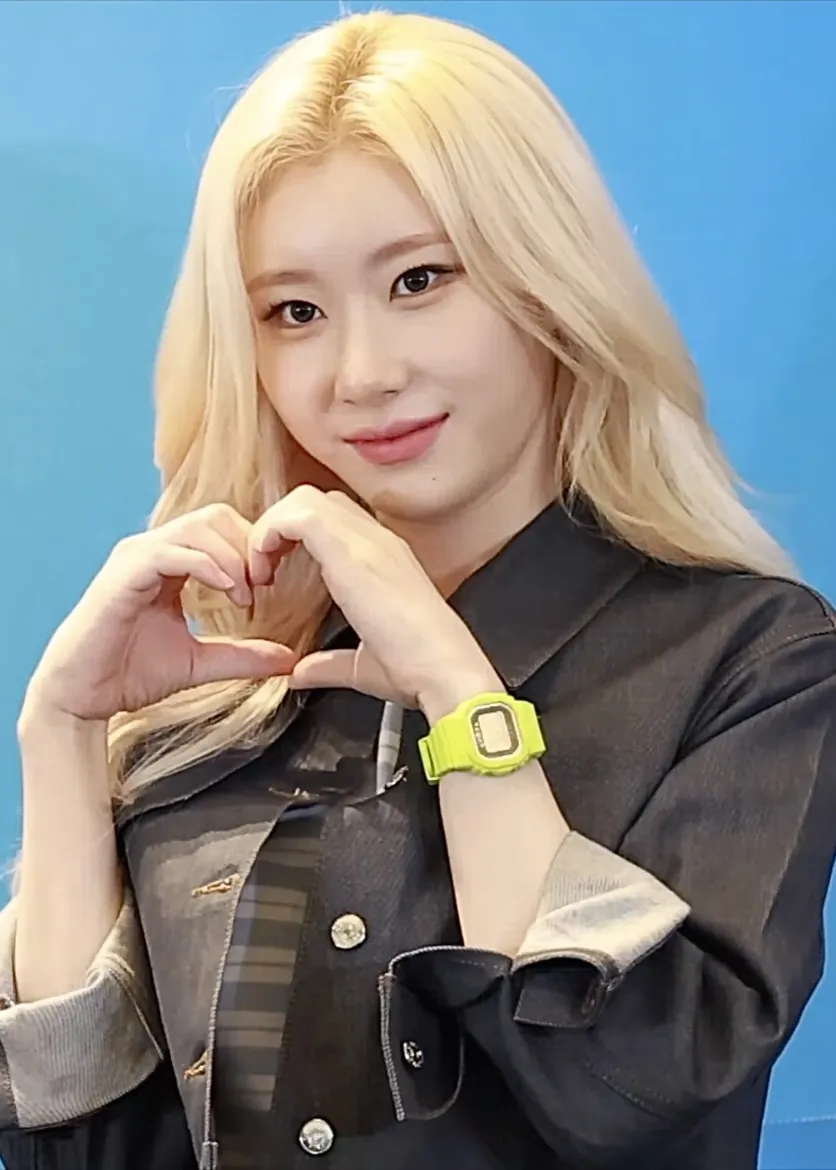 채령 사진