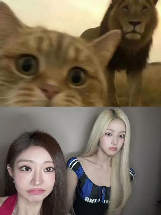 🐱😘 KISSOFLIFE 키스오브라이프 KIOF Shorts
