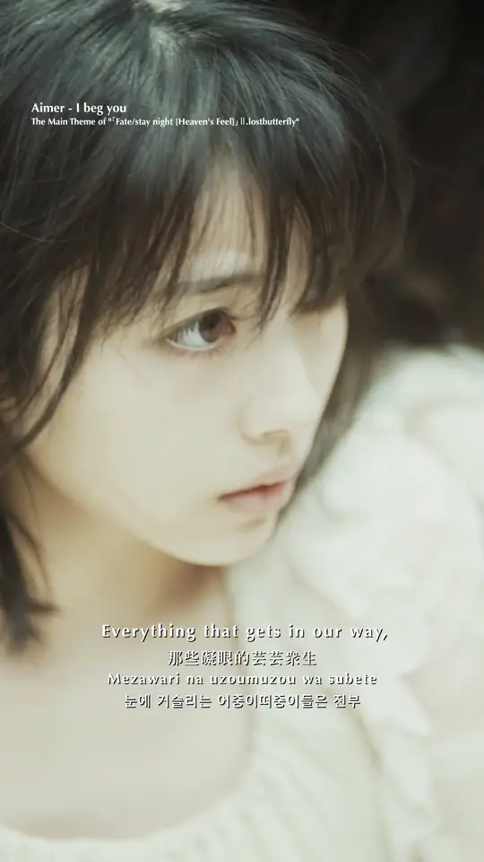"I beg you" The Main Theme of "「Fate/stay night [Heaven's Feel]」Ⅱ.lostbutterfly"